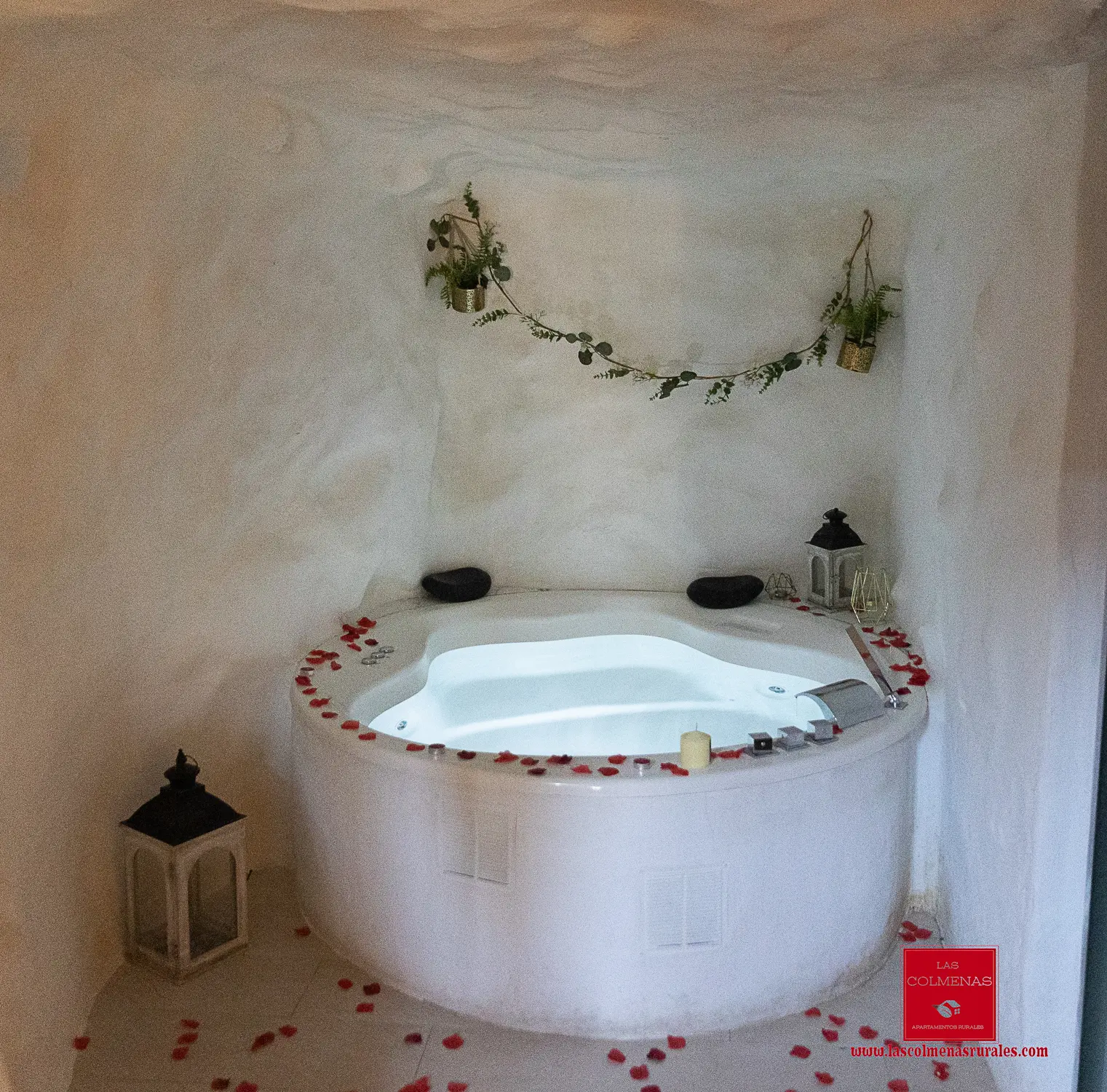 suite exclusiva